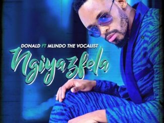 Donald - Ngiyazfela Ft. Mlindo The Vocalist