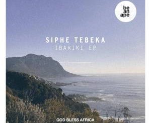 Siphe Tebeka - Nothing Serious