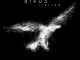 Imagine Dragons Ft. Elisa – Birds