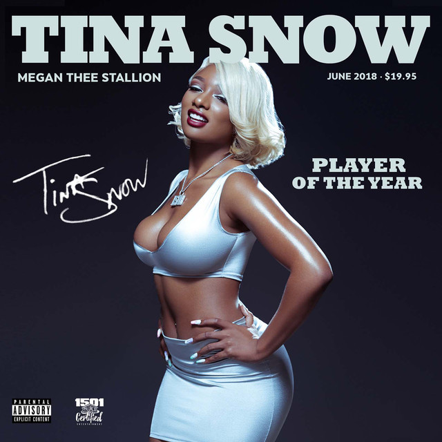 ALBUM: Megan Thee Stallion - Tina Snow