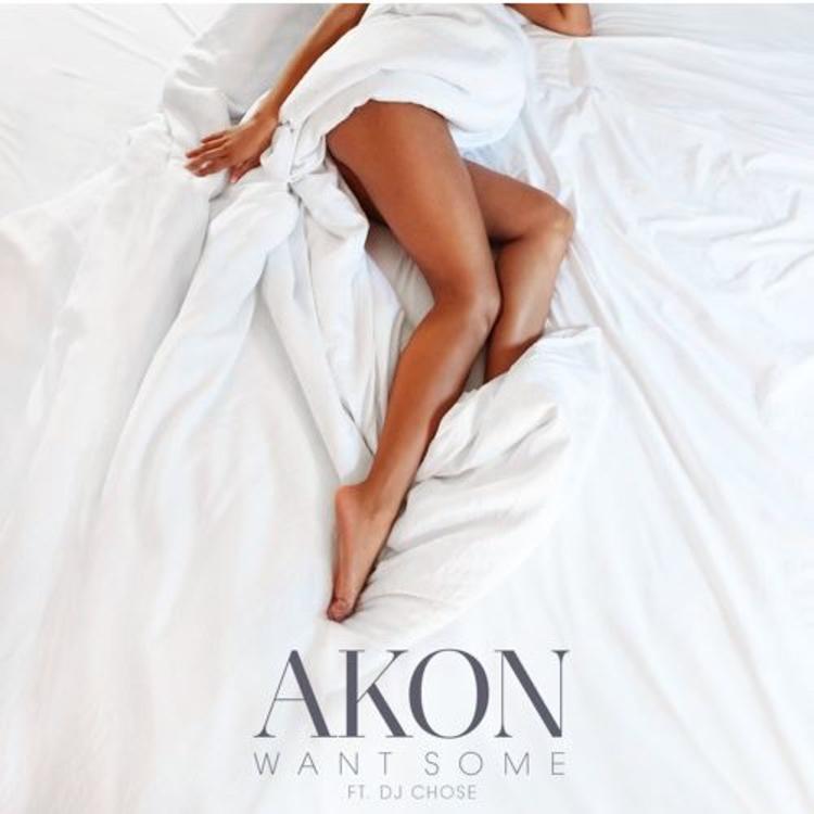 Akon - Want Some (feat. DJ Chose)