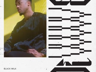 ALBUM: Black Milk – DiVE
