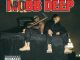 ALBUM: Mobb Deep - Juvenile Hell