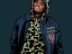 Chris Brown – Best Life