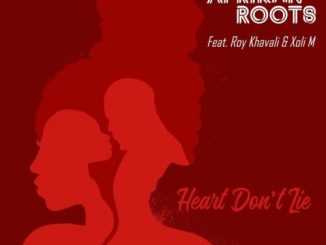 Afrikan Roots Ft. Xoli M & Roy Khavali – Heart Don’t Lie