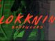 9lokknine – Bakkwoods