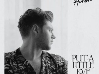Niall Horan – Put a Little Love On Me