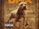 DMX - On Top (feat. Big Stan)