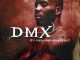 ALBUM: DMX - It's Dark and Hell Is Hot