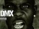 ALBUM: DMX - The Best Of DMX