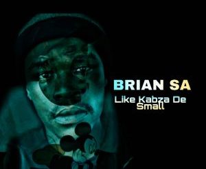 Brian SA – Like Kabza De Small