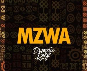 DrumeticBoyz – MZWA