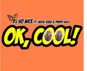 DJ So Nice – Ok Cool Ft. Wichi1080 & Priddy Ugly