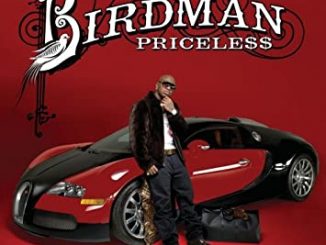 Birdman - Southside (feat. Lil Wayne, Rick Ross & Mack Maine) [Remix]