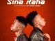 The Smash – Sina Raha