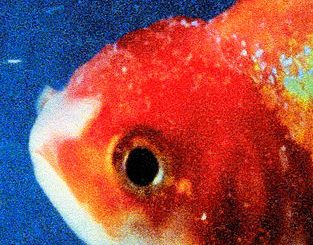 ALBUM: Vince Staples - Big Fish Theory