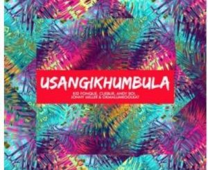 Kid Fonque, Cuebur, Andyboi, Jonny Miller & Okmalumkoolkat – Usangikhumbula