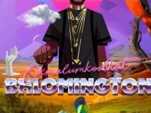 ALBUM: Okmalumkoolkat – Bhlomington (Tracklist + Cover Artwork)