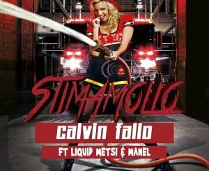 Calvin Fallo - Stimamollo Ft. Liquid Metsi & Manel