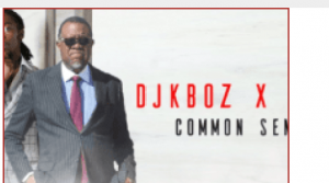 DJ KBoz & Hage - Common Sense (Amapiano)