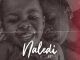 EP: DJ Mandy – Naledi