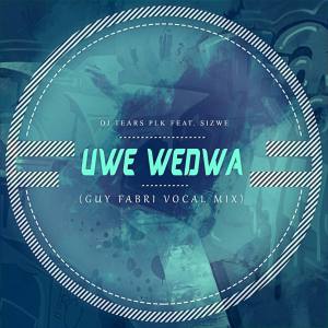 DJ Tears PLK - Uwe Wedwa Ft. Sizwe (Guy Fabri Vocal Mix)