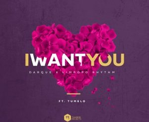 Darque & Limpopo Rhythm - I Want You Ft. Tumelo