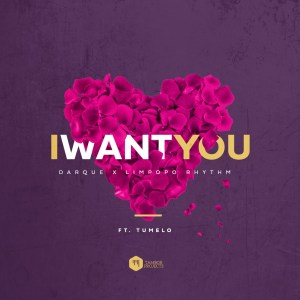 Darque & Limpopo Rhythm - I Want You Ft. Tumelo