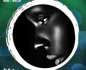 Diaki – Magnifique (Original Mix) Ft. Wallid & Ivan Afro5