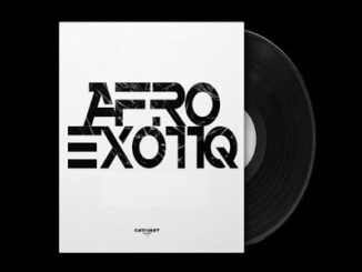 LeGoody – Sukoyika (Afro Exotiq Remix) Ft. Donald , Kamza Heavypoint & Peekay Mzee