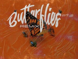 Queen Naija Ft. Wale – Butterflies Pt. 2 Remix
