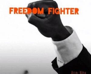 Real Nox - Freedom Fighter (Amapiano)