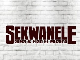 Sims – Sekwanele Ft. Fiso El Musica