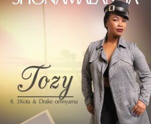 Tozy - Shonamalanga Ft. Drake Omnyama & 3kota (Extended Version)