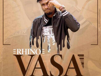 Rhino - Vasa