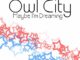 ALBUM: Owl City - Maybe I'm Dreaming