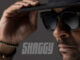 ALBUM: Shaggy – Hot Shot 2020 (Deluxe)