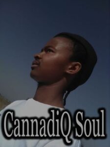 CannadiQ Soul - Something Jazzy