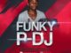 Funky-P – Musical Journey Vol. 004