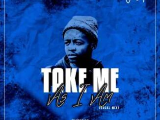 Jebha – Take Me As I Am (Vocal Mix) Ft. Boohle, Tee Jay & Sk