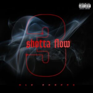 NLE Choppa - Shotta Flow 3