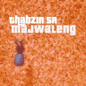 Thabzin SA – Majwaleng