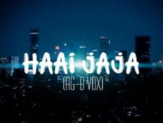 DJ FeezoL - Haai Jaja (AG-B Vox) Ft. DJ Zain