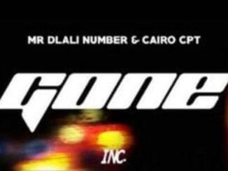 Mr Dlali Number - Gone Ft. Cairo CPT