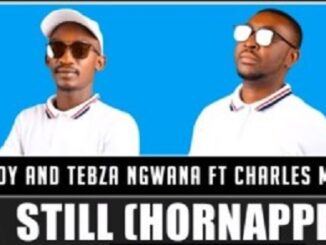 Tsebe Boy - Still (Hornappela) Ft. Charles Mkhulu & Tebza Ngwana