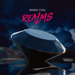 Wande Coal - Vex