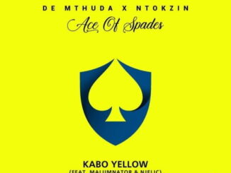 De Mthuda - Kabo Yellow Ft. MalumNator, Ntokzin & Njelic