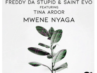 Freddy Da Stupid - Mwene Nyaga (Original Mix) Ft. Saint Evo & Tina Ardor