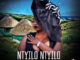 Rethabile Khumalo – Ntyilo Ntyilo Ft. Master KG