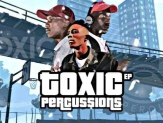 Team Percussion & Toxic MusiQ – Toxic Percussions